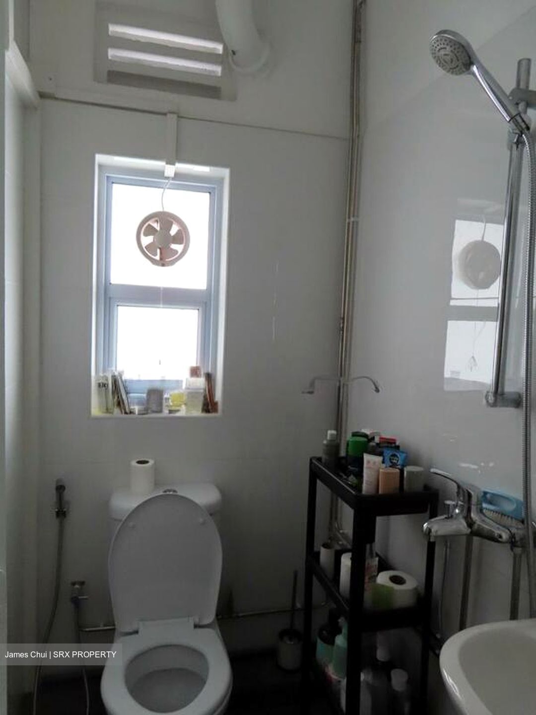 Tiong Bahru Estate (D3), Apartment #495560721
